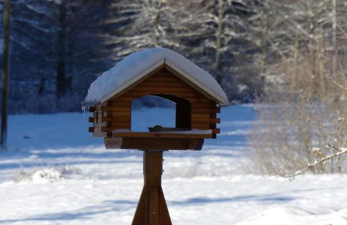 Haus Gisela - Photo 7