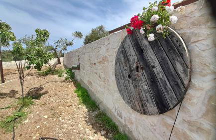 Georgioupoli Studios - Foto 58