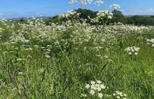 Riding Farm Cottages - Foto 70