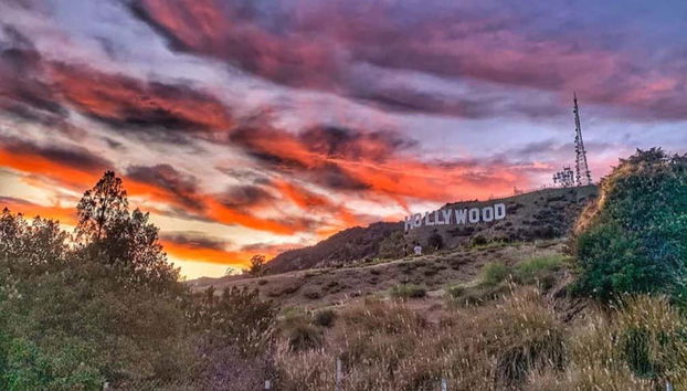 Hollywood Sign Hiking Tour - Foto 5