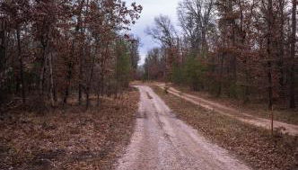 Gorgeous Modern Chalet In The Woods - Foto 3