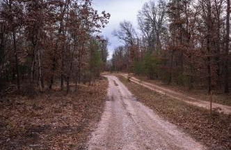 Gorgeous Modern Chalet In The Woods - Foto 3