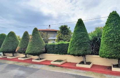 Vacation and Relaxation Home Oropos - Foto 34