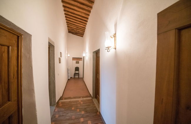 Fattoria di Cintoia - Photo 62