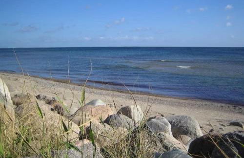 Seemöwe 1 - Foto 22