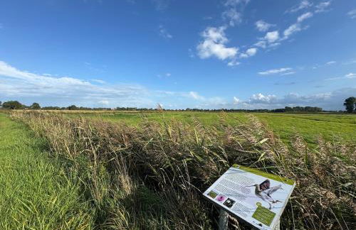 Ferienhaus Wiegboldsbur - Foto 13