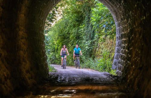 Apartments Villa Amaryllis - Foto 49