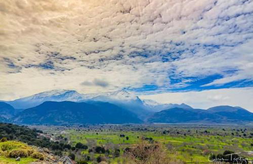 Vasilikata - Foto 109