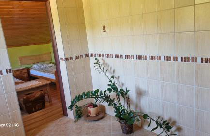 Pod Smerekiem - Photo 40