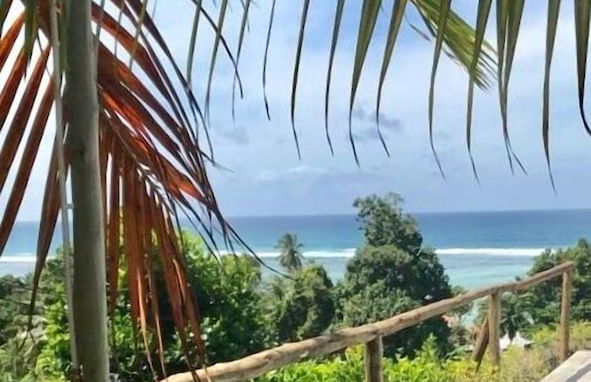 Blue Horizon Villas - Photo 31