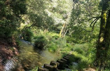 Casa da Rapadoira - Foto 19