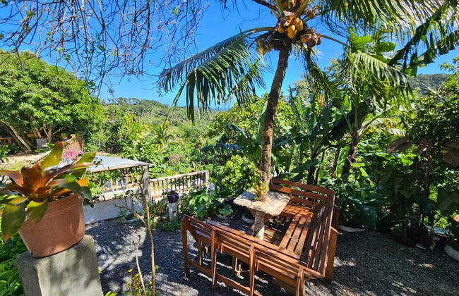 Casa Colibri - Foto 23