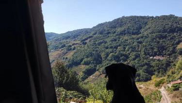 cabaña do rei - Foto 5