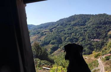 cabaña do rei - Foto 5