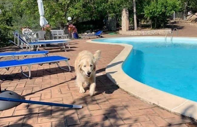 Setter House Agri Hotel - Foto 35