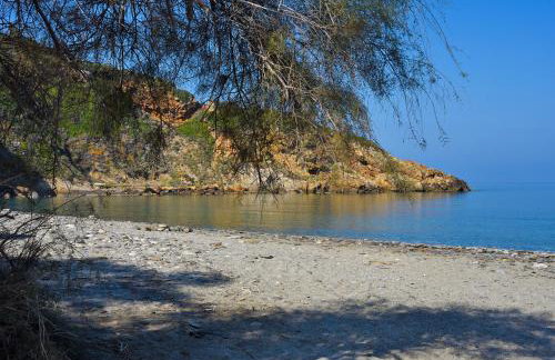House in Εndless green - Arethousa, Ikaria - Photo 36