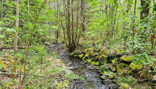 Mt Rainier!Best place to stay with family and friends! Sleeps10!4B 2B Home! Hottub!PondView!Paradise! - Foto 4