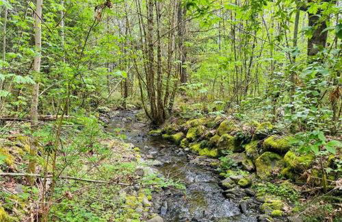 Mt Rainier!Best place to stay with family and friends! Sleeps10!4B 2B Home! Hottub!PondView!Paradise! - Foto 4