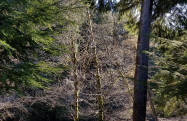 A Relaxing Getaway SolDuc 1 - Foto 31