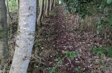 No1 The yard, Regilbury Court, Winford - Foto 14