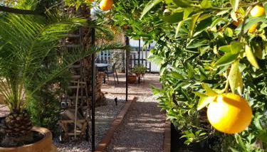 Alojamiento Rural El Valle - Foto 4, Garden