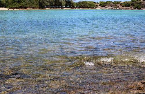 Beachhouse in Barra do Sirinhaém - Photo 23