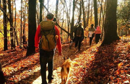 DwtnlParkPasslPizzaOvenlFirePitlYouTubeTVlKinglEV - Foto 43