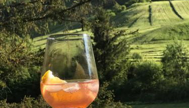 Haus Hochhäusler - Foto 4