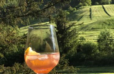 Haus Hochhäusler - Foto 4