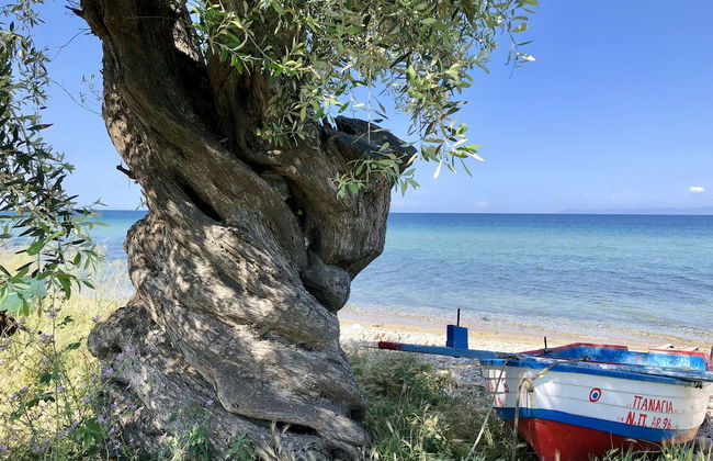 Byblos Luxury Villa - Foto 22