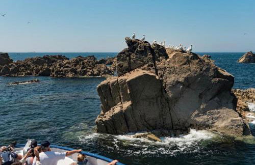 Maison Yaudet à 50 M DE LA PLAGE - Foto 33