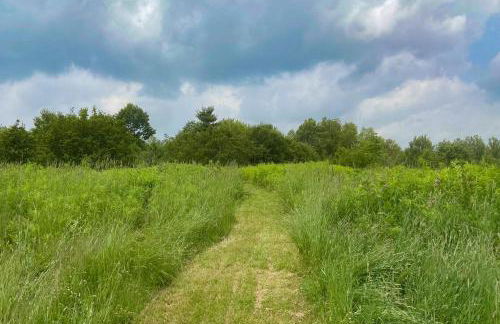 219 Old Ark Road - Foto 51