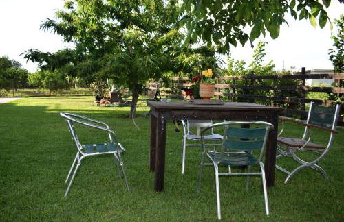 Κτήμα Κωνσταντινίδη - Photo 34