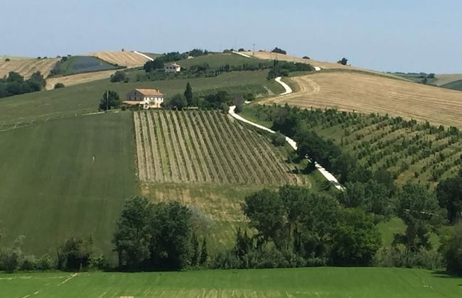 Agriturismo il Bacucco - Foto 32