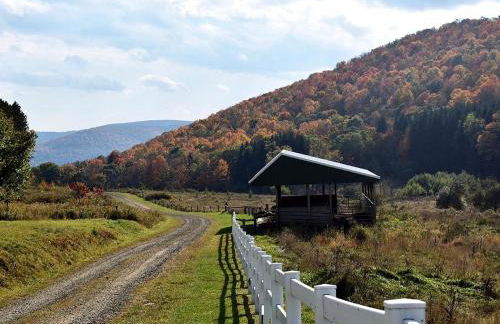 Charming Cabin on 1,000-Acre Farm in Westfield, Pennsylvania - Foto 18