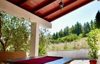 Holiday Home Babič - Foto 10