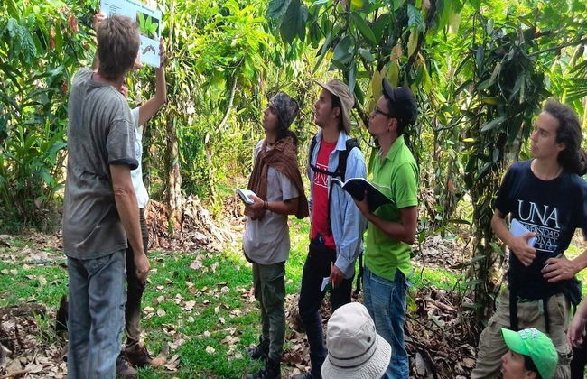 Vanilla Jungle Lodge - Bed & Breakfast - Foto 13