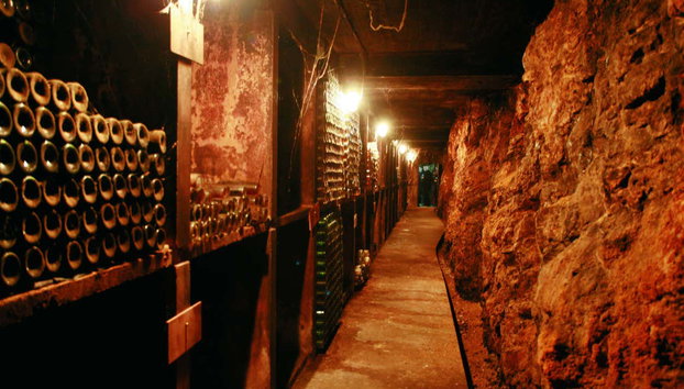 Excursión a Biblos + Bodegas Ixsir y Chateau Musar - Foto 5, Interior de una bodega