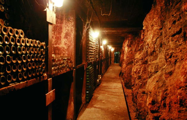 Excursión a Biblos + Bodegas Ixsir y Chateau Musar - Foto 5
