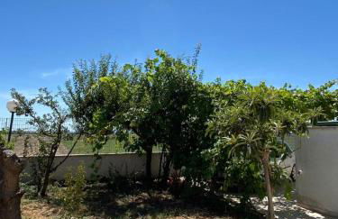 villavillachiara - Foto 7