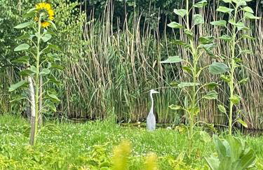 Młyn Sea&Golf w Kołczewie - Foto 57