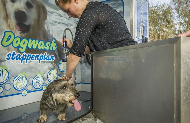 Detached Holiday Home With Dishwasher Located on Texel - Foto 68