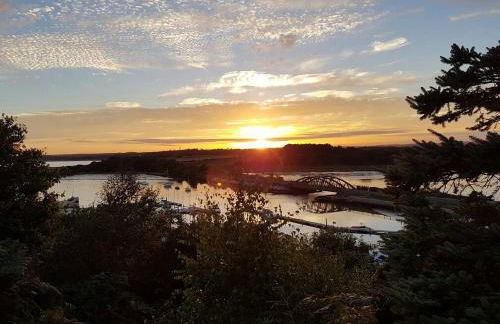 Lazy Bear, 25 Arne View - Photo 42