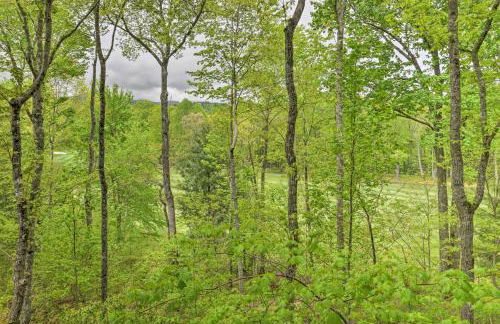 Trillium Home with Golf Course Views and Fireplaces! - Foto 35