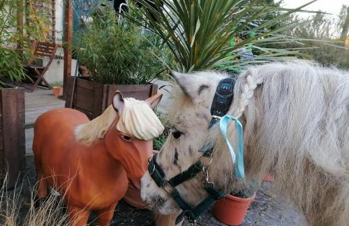 Zurück zur Natur - Urlaub im Zirkuswagen, Sommeratelier oder Schindelwagen - Foto 25