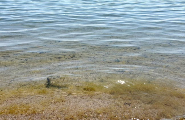 8 Person Holiday Home in Ingaro - Foto 21