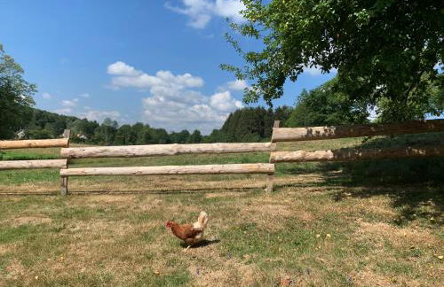 L'oriere des Bois - Foto 28