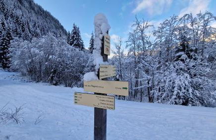 Apt A04 terrasse, village et ski à pied avec sauna, fitness et tennis - Photo 13