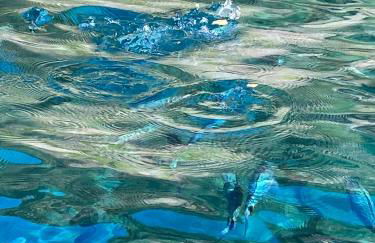 Agriturismo Villa Caterina - Foto 44