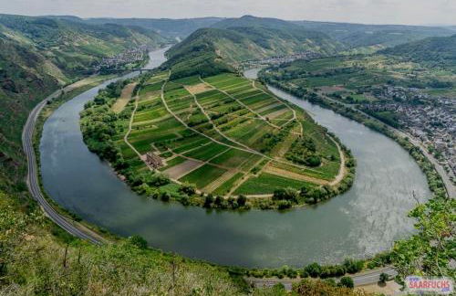 Ferienhaus Schwalbennest - Foto 29